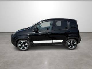 FIAT Pandina usata, con Climatizzatore
