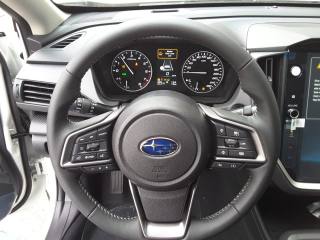 SUBARU Crosstrek usata, con Controllo trazione