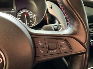 ALFA ROMEO Giulia usata, con Servosterzo