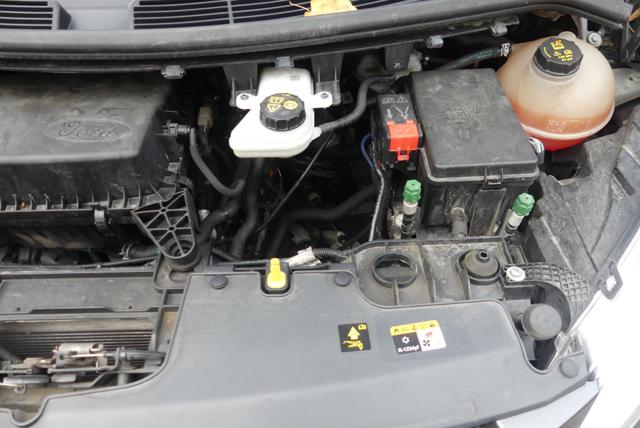 FORD Tourneo Custom usata 56