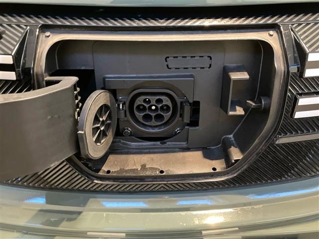 DACIA Spring usata 21