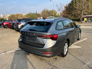 SKODA Octavia usata, con Fendinebbia