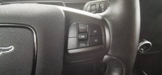 FORD Mustang Mach-E usata, con Climatizzatore automatico, 2 zone