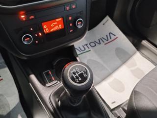 FIAT Punto usata 13