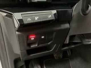 RENAULT Austral usata 28