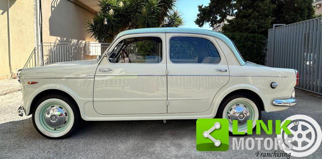 FIAT 1100 usata 7