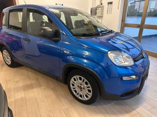 FIAT Panda usata, con Alzacristalli elettrici