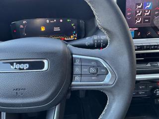 JEEP Compass usata, con Park Distance Control