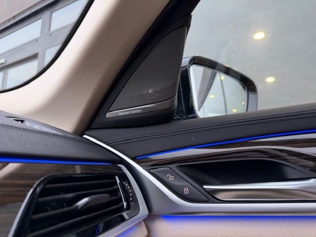 BMW 520 usata, con Interni in pelle