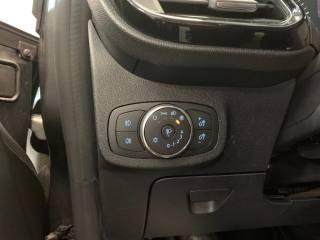 FORD Fiesta usata, con Controllo vocale