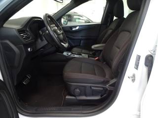 FORD Kuga usata, con Cruise Control