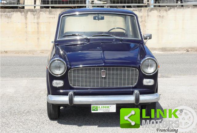 FIAT 1100 usata 1