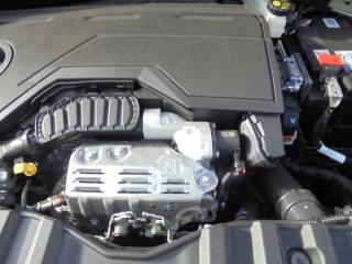 FIAT Grande Panda usata 43