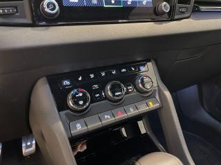 SKODA Karoq usata, con Cruise Control