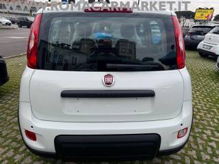 FIAT Panda usata, con Immobilizzatore elettronico