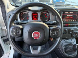 FIAT Panda Cross usata, con Servosterzo