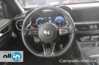 ALFA ROMEO Stelvio usata 7