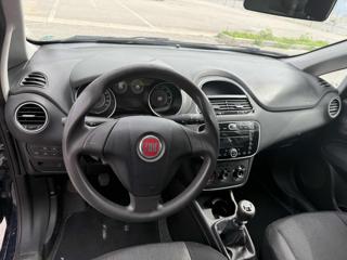 FIAT Punto usata 12