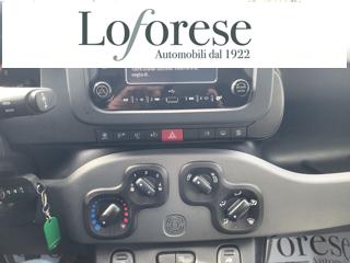FIAT Panda usata 14