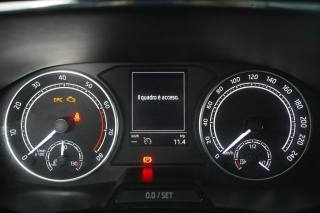 SKODA Fabia usata 12