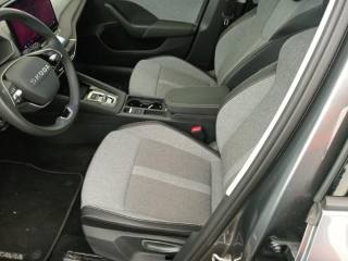 SKODA Octavia usata, con Cruise Control