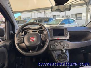 FIAT Panda usata, con Climatizzatore