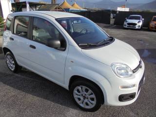 FIAT Panda usata 12