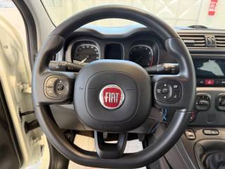 FIAT Panda usata, con Airbag testa
