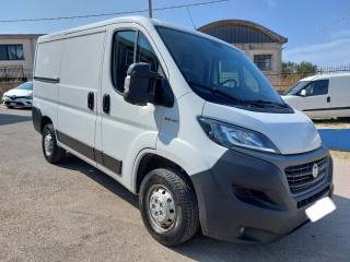 FIAT Ducato usata 2