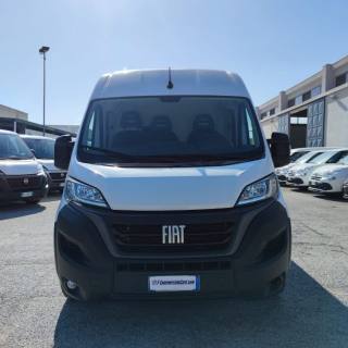 FIAT  usata 7