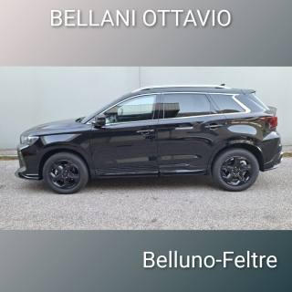 SWM G01 usata, con Alzacristalli elettrici