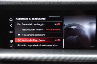 ALFA ROMEO Stelvio usata, con Volante in pelle