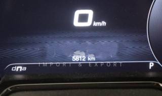 ALFA ROMEO Tonale usata, con Cruise Control