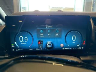 FORD Puma usata, con Cronologia tagliandi