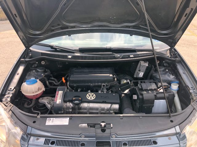 VOLKSWAGEN Polo usata 16