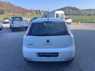 FIAT Punto usata, con Chiusura centralizzata