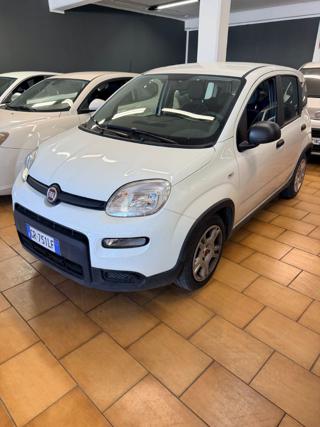 FIAT Panda usata, con Airbag Passeggero