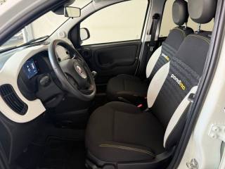 FIAT Panda Cross usata, con Sensore di pioggia