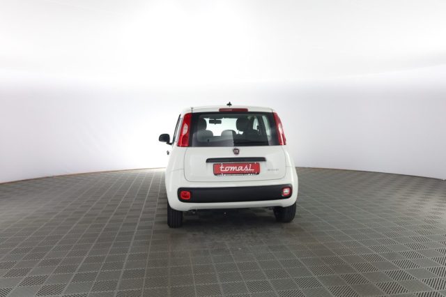 FIAT Panda usata 4