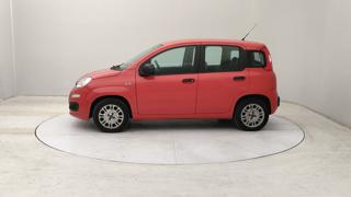FIAT Panda usata, con Airbag