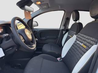 FIAT Panda usata 10