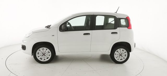 FIAT Panda usata, con Alzacristalli elettrici
