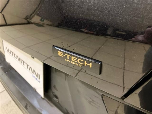 RENAULT Arkana usata 28