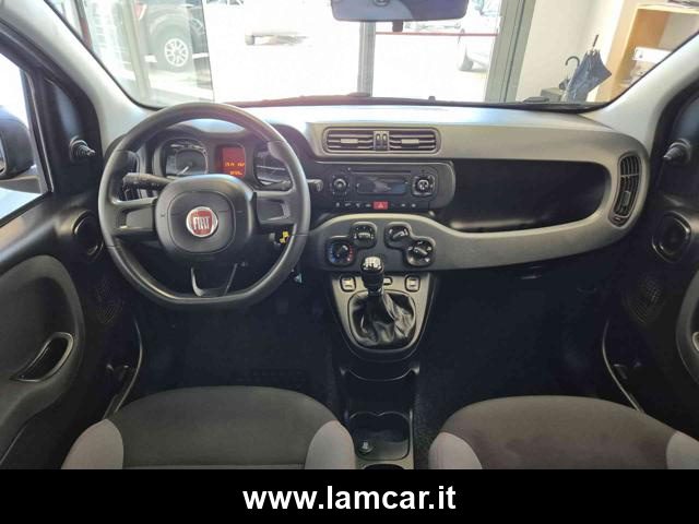 FIAT Panda usata 16