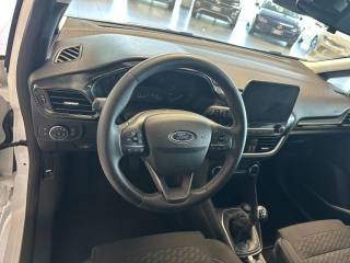 FORD Fiesta usata, con Cronologia tagliandi