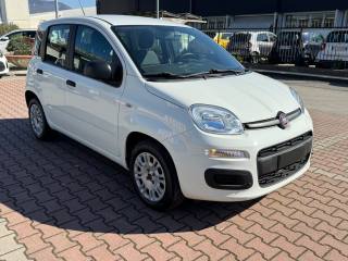 FIAT New Panda usata, con Airbag Passeggero