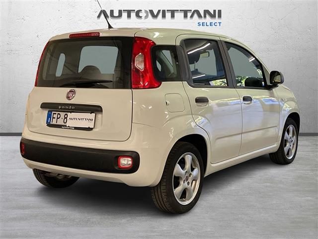 FIAT Panda usata 2