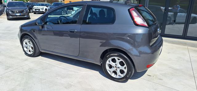 FIAT Punto usata 15