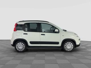 FIAT Panda usata 5
