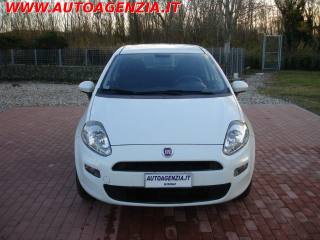 FIAT Punto usata 4